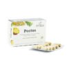 Pectus Bétula · 30 cápsulas